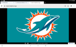 M.I.A.M.I dolphins