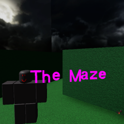 The Maze