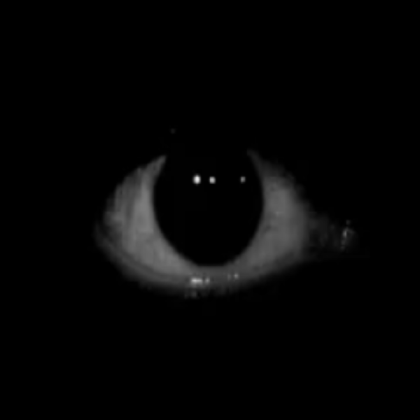 scary eye Roblox decal
