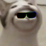 So much pop cats