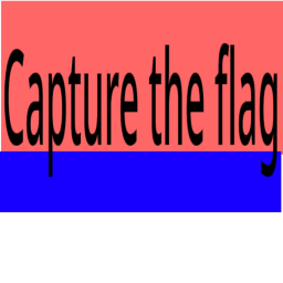 laser tag flag