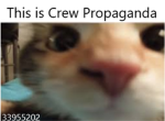 Сat fans