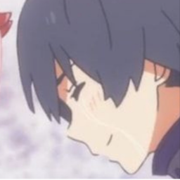 ✧･ﾟ: *✧･ﾟ:*
