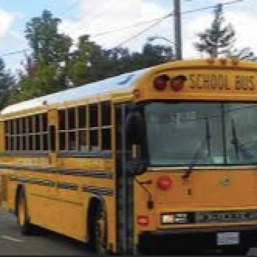Small Valley School Bus Simulator