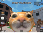 UwU The Cat