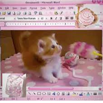 TheKittyCatGroup
