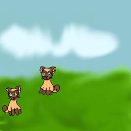 Cat paradise