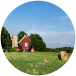 100 dollars a minute