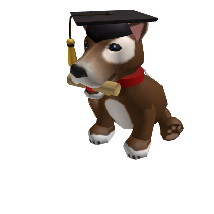 Diploma Dog