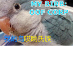 My birb: OOF Corp