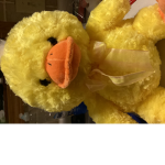 Duckie squad yeye