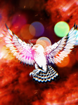 The Flying Hawk’s Dojo