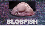 BlobFish Group.
