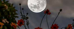 -the moon-
