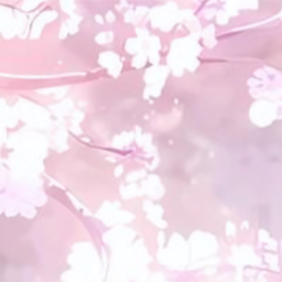 ˖ ֹ੭୧ z ⊹ ⑅