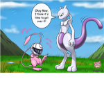 Pokemon Raiders