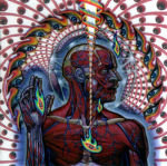 TOOL Fanclub