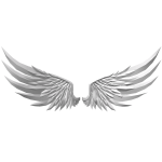 Wings of the Heavens