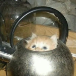 коробка от чайника