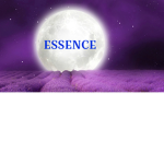 Essence Myth Hunting Association