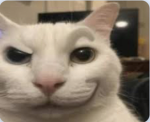 Leodev