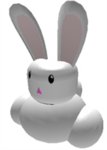 the bunnys