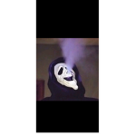 OozieSnoozie