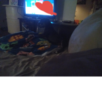 MY DOGS GROUP HES DEAD