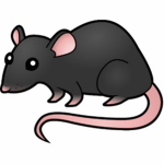 sister rats