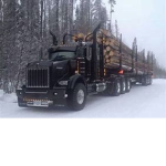 National All American Trucking Company.inc