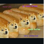 DOGES GROUP RISE UP