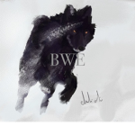 (B.W.E) Black Wolf Empire