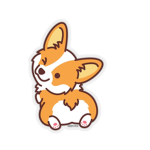 Corgi Cutes