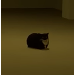 ???