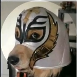 ElTimNub