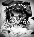 PigeonNO
