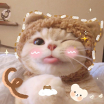 •αєѕтнєтι¢ αηgєℓѕ•