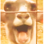 ###### :O