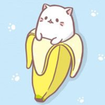 kittyoran studio