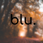 blu. Airways