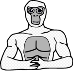The buff shark vr
