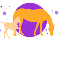 sunny ranch stables