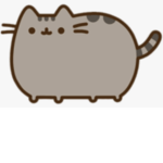 Pusheen group for fans