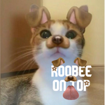 roobee's clothing :P