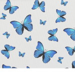 Butterfly Squad studio
