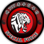 Inyual Korea 707th Special Missons Group