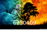 Day N Night