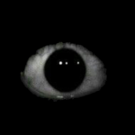 eye cryptids