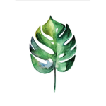 Plants on Roblox!