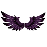 VOID WINGS